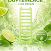 2er Set Dufteinlagen Lime Breeze